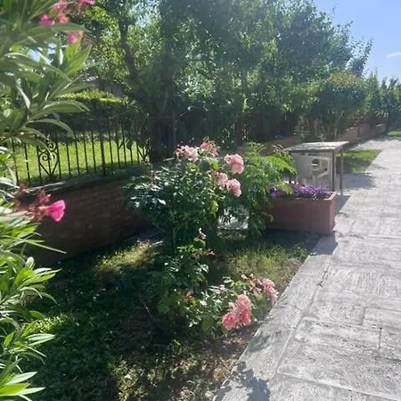 Апартаменты Casa Ely *